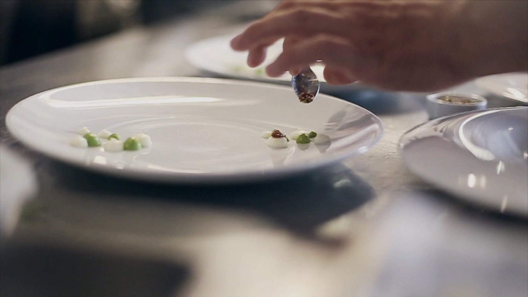 Chef plating a refined fine-dining course